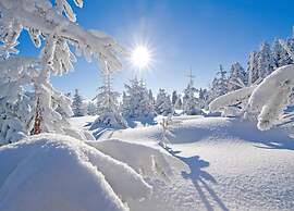 Snug Apartment in Jachymov near Ski Area