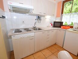 Snug Apartment in Jachymov near Ski Area