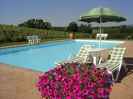 Farmhouse in Proceno With Panoramic Pool