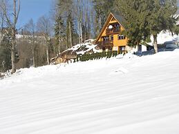 Luxury Chalet Near Ski Area