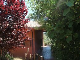 Snug Holiday Home in Castagneto Carducci near Thermal Bath