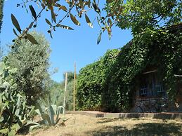 Snug Holiday Home in Castagneto Carducci near Thermal Bath