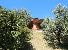 Snug Holiday Home in Castagneto Carducci near Thermal Bath