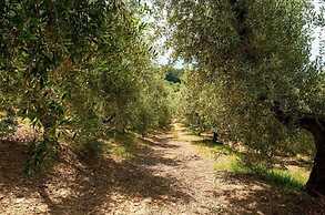 Snug Holiday Home in Castagneto Carducci near Thermal Bath