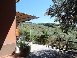 Snug Holiday Home in Castagneto Carducci near Thermal Bath