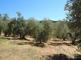 Snug Holiday Home in Castagneto Carducci near Thermal Bath