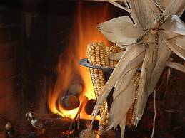 Agriturismo near Cortona with Spacious Garden & Swimming Pool