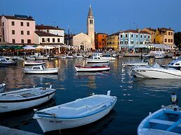 Brand new Villa Near Svetvincenat