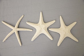 Belvilla by OYO Rifugio