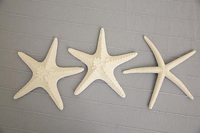 Belvilla by OYO Rifugio