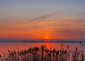Cozy Stay by Wiek Harbor