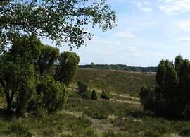 Holiday Home in the Luneburg Heath
