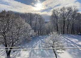 Peaceful Forest Getaway