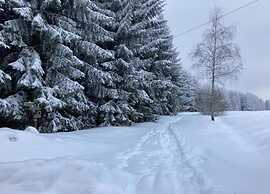 Peaceful Forest Getaway