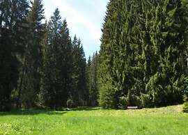 Peaceful Forest Getaway