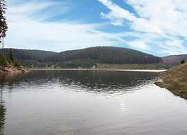 Peaceful Forest Getaway