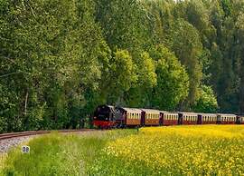 Apartment near Insel Poel