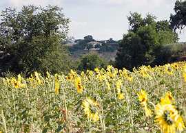 Scenic Stay in Spoleto