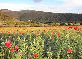 Scenic Stay in Spoleto