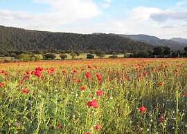Scenic Stay in Spoleto