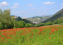 Scenic Stay in Spoleto