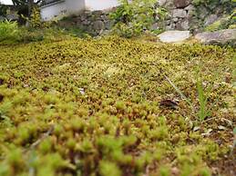 Aki Kokubunji Shukubou