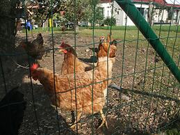Schoenes Landhaus in Bastorf am Meer