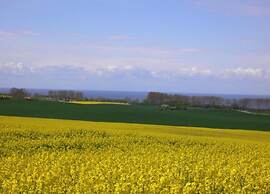 Schoenes Landhaus in Bastorf am Meer