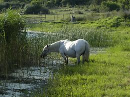 Cozy Villa in Ploce With Shared Pool