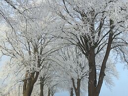 Traditional Apartment near Sea in Kühlungsborn