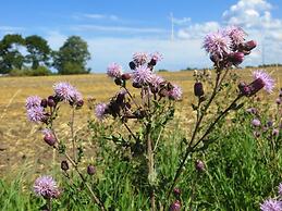 Traditional Apartment near Sea in Kühlungsborn