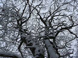 Traditional Apartment near Sea in Kühlungsborn