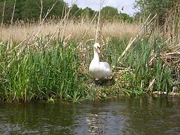 Traditional Apartment near Sea in Kühlungsborn