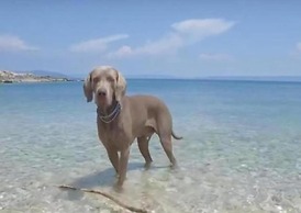 Apartment in Labin Near the Beach
