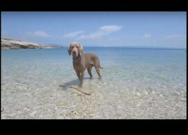 Adorable Apartment in Murter with Hot Tub