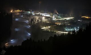 Apartment Near the ski Area in Winterberg