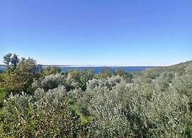 Apartment in Dalmatia for 4 Person