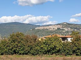 Well Kept Apartment near Cortona