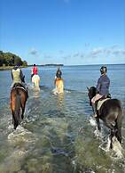 Holiday Home in Zierow With Garden