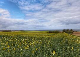 Boutique-bungalow in Boiensdorf mit Terrasse
