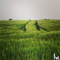 Libramont Stone Garden Haven