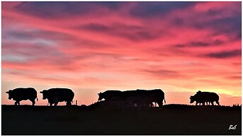Holiday Home in the Heart of the Ardennes