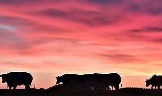 Libramont Stone Garden Haven