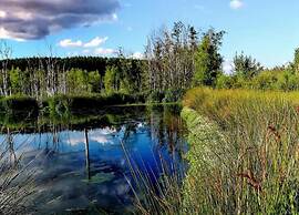 Holiday Home in the Heart of the Ardennes