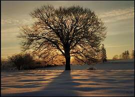 Holiday Home in the Heart of the Ardennes