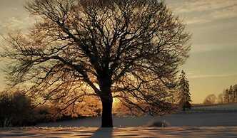 Libramont Stone Garden Haven