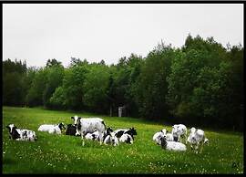 Holiday Home in the Heart of the Ardennes