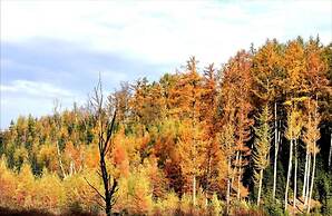 Holiday Home in the Heart of the Ardennes