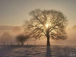 Libramont Stone Garden Haven