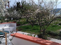 Your Perfect Adriatic Getaway